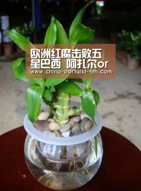 华体会，hth，华体会官网