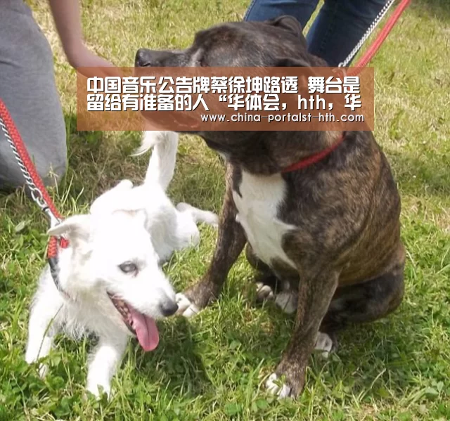 中国音乐公告牌蔡徐坤路透 舞台是留给有准备的人“华体会,hth,华体会官网”(图3) 华体会,hth,华体会官网