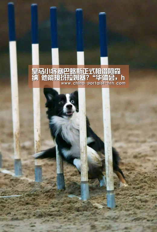 华体会，hth，华体会官网