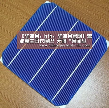 华体会，hth，华体会官网