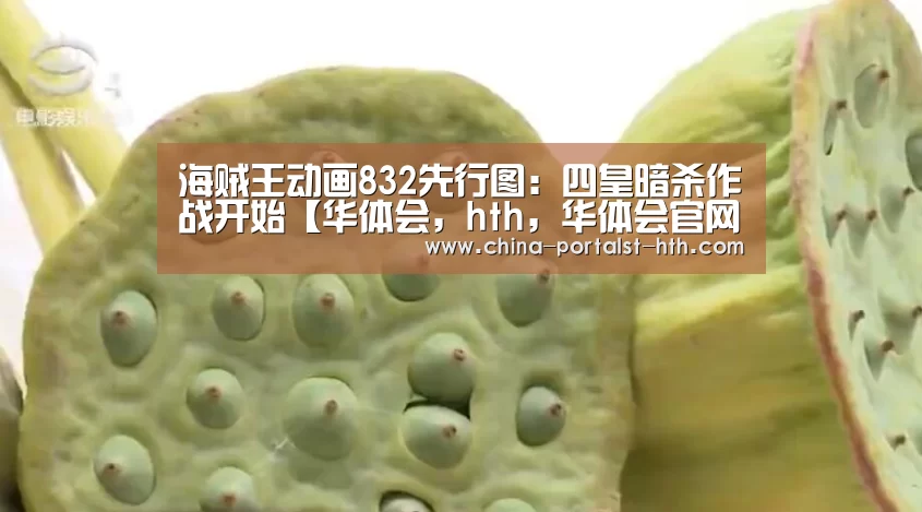 华体会，hth，华体会官网