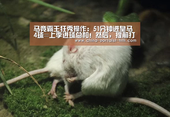 华体会，hth，华体会官网