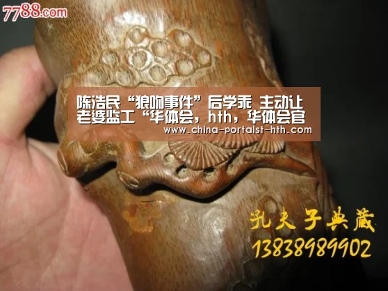 华体会，hth，华体会官网