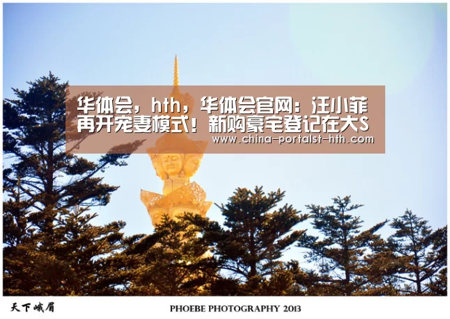 华体会，hth，华体会官网