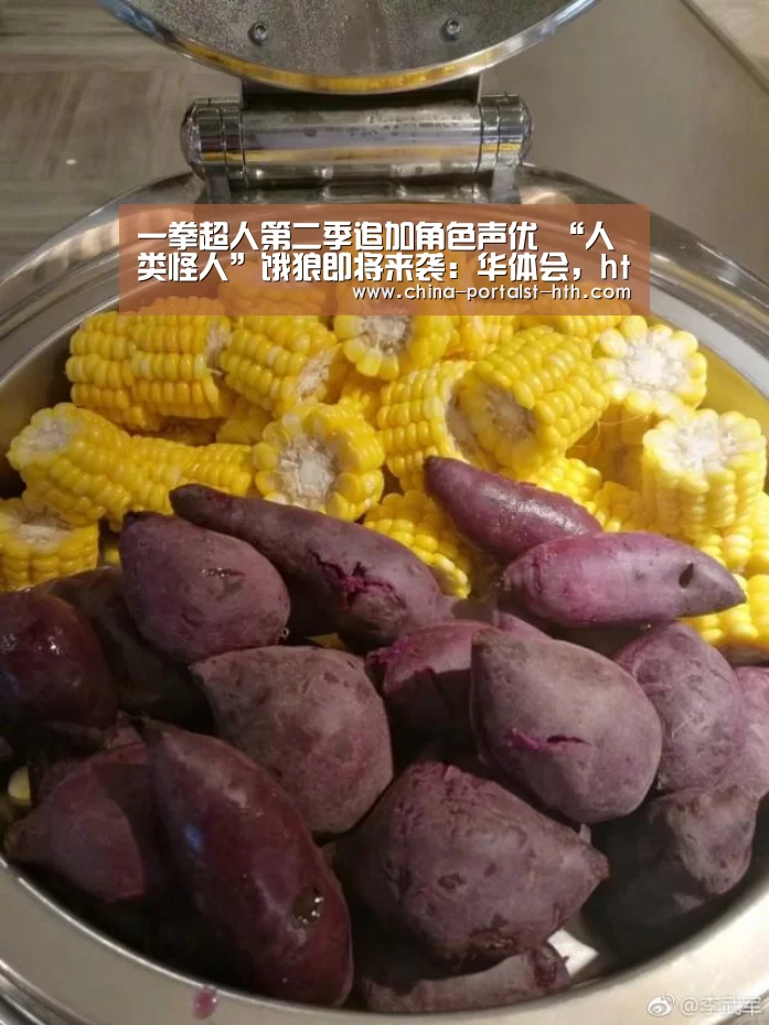 华体会，hth，华体会官网