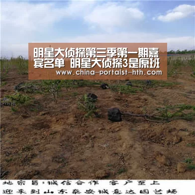 明星大侦探第三季第一期嘉宾名单 明星大侦探3是原班人马吗-华体会，hth，华体会